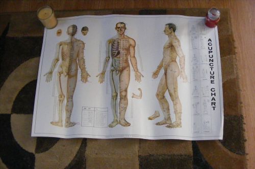Vintage Chinese Skeletal Medical Chart Diagram Anatomy Acupuncture Decor