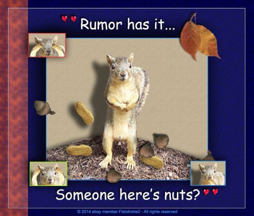 Custom &#034; someone here&#039;s nuts &#034; squirrel computer mouse pad for sale