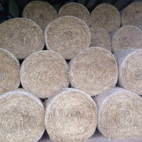 Wheat straw 4ft round bales for sale