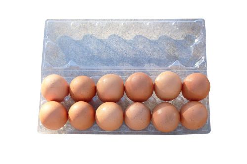 12 cell clear plastic chicken egg carton with folding top package of 10