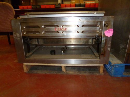 Commercial broiler