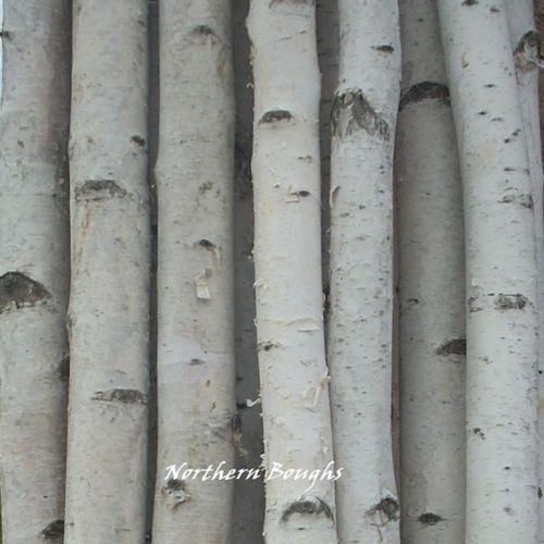 Large 8ft Birch Poles (Min order 50)