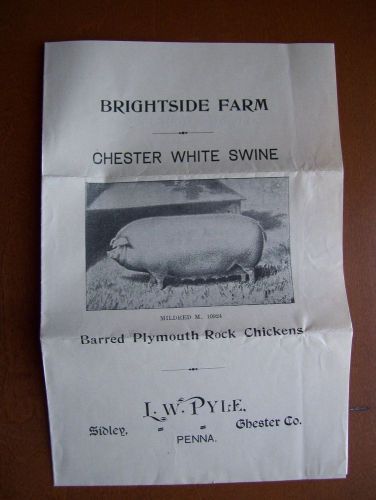 BRIGHTSIDE FARM L.W. PYLE-SIDLEY,CHESTER CO.PA CHESTER WHITE SWINE