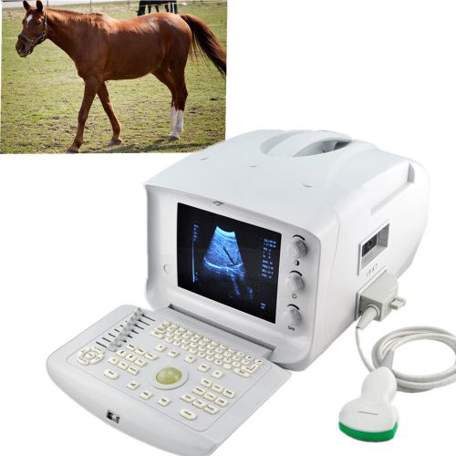 FDA CE Veterianry VET Ultrasound Scanner machine W Convex Probe high quality