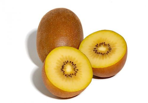 Fresh exotic golden kiwi (yellow sweetest)-(10 seeds) super fruit, l@@k!!! for sale