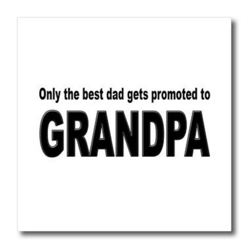 3dRose ht_149814_2 Only The Best Dad Gets Promoted to Grandpa Iron on - H15 110A