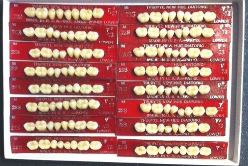 Dentsply New Hue Dentist Dental Lab Porcelain Denture Teeth   28S   L  73