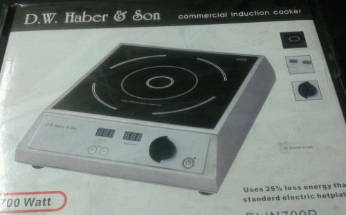 D.w. Haber&amp;son commercial induction cooker