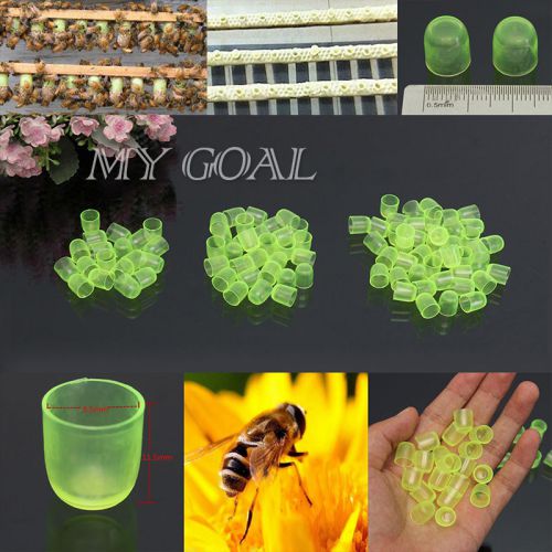 200PCS Beekeeping Cell Royal Jelly Cups Set Queen Bee Rearing Equipment Tool