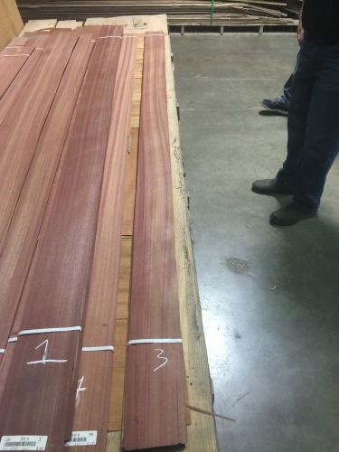 Wood Veneer Bloodwood 4 3/4x98 24Pcs Total Raw Veneer  &#034;EXOTIC&#034; BW.SKID 3