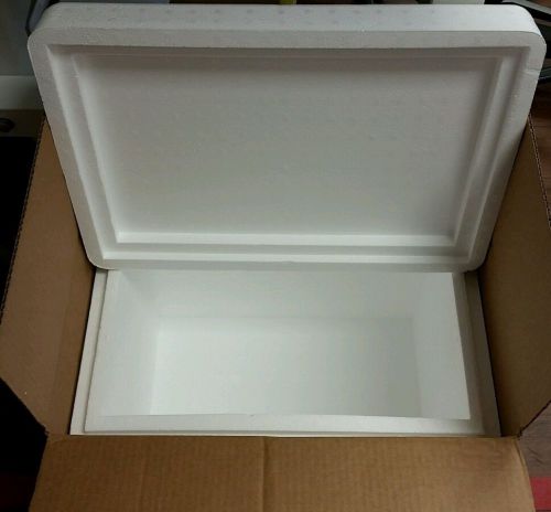 Styrofoam Insulated Cooler with Shipping Box   20&#034;Lx13.5&#034;Wx15&#034;H-Large