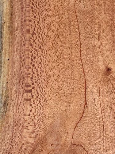Hawaiian Silk Oak Reclaimed Boards 2@24&#034;x12x1 For Fine Woodworking