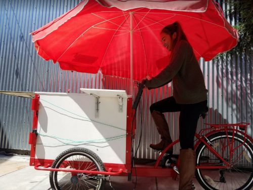 Vending cart bike for sale