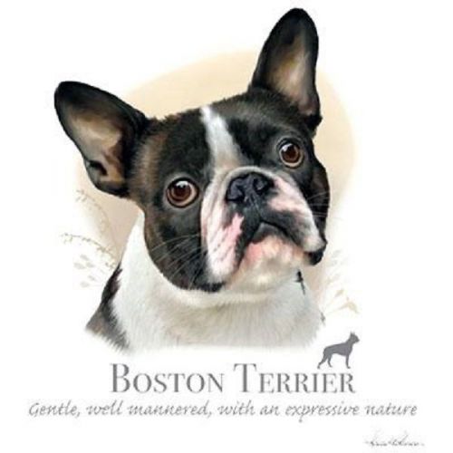 Boston Terrier Dog HEAT PRESS TRANSFER PRINT for T Shirt Sweatshirt Fabric #814j