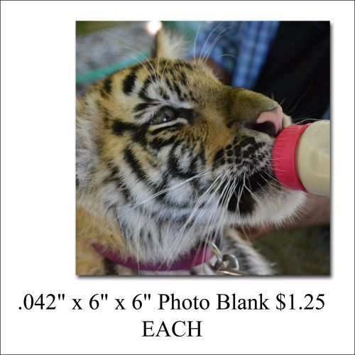 6&#034; x 6&#034; Sublimation Aluminum Photography Blanks .042&#034; Thick- $1.25 ea, 10PC lots