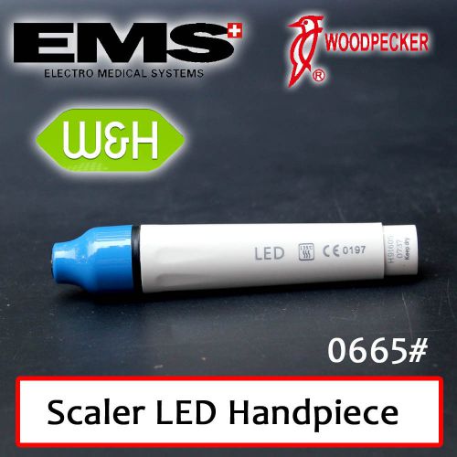 Fiber Optic Detachable Handpiece for Ems  Woodpecker UDS LED Scaler Kus