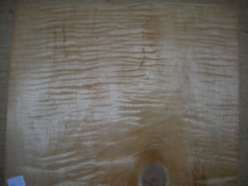 Curly Maple Wood Veneer. 12 x 13.5, 2 Sheets.