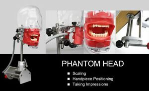 Dental Silicone Pantom Head Model &amp;Replacement Teeth Model Manikin Head Model CE