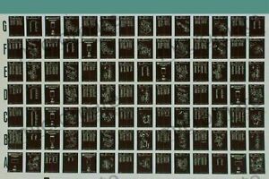 Microfilm / Microfiche Scanning Service 16mm Microfiche to Digital Image
